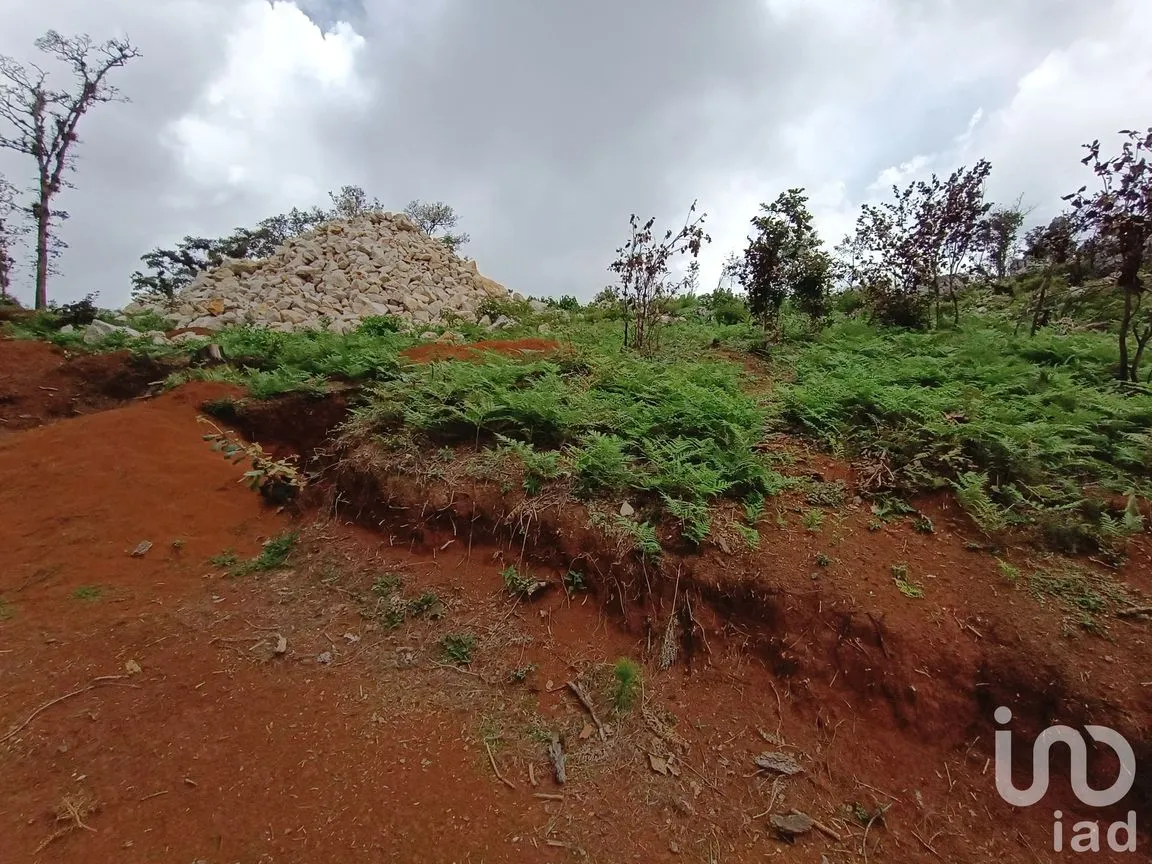 Terreno en Venta en Huitepec Ocotal Sección II, San Cristóbal de las Casas, Chiapas | NEX-219880 | iad México | Foto 8 de 10