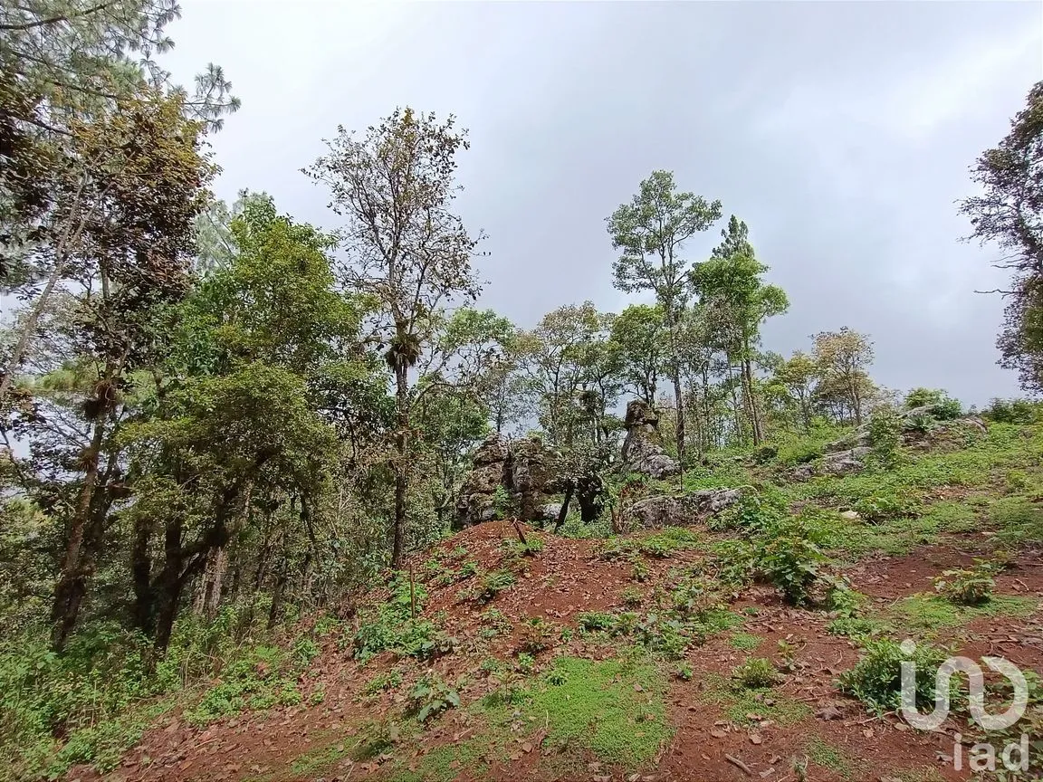 Terreno en Venta en Huitepec Ocotal Sección II, San Cristóbal de las Casas, Chiapas | NEX-219880 | iad México | Foto 2 de 10