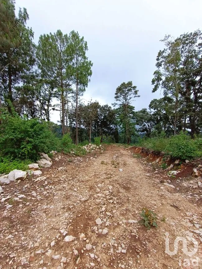 Terreno en Venta en Huitepec Ocotal Sección II, San Cristóbal de las Casas, Chiapas | NEX-219880 | iad México | Foto 3 de 10