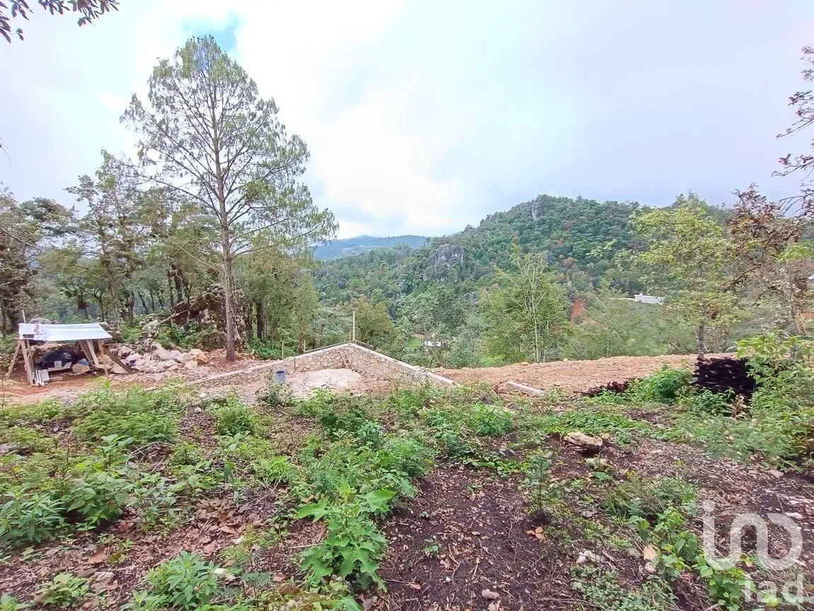 Terreno en Venta en Huitepec Ocotal Sección II, San Cristóbal de las Casas, Chiapas | NEX-219880 | iad México | Foto 4 de 10