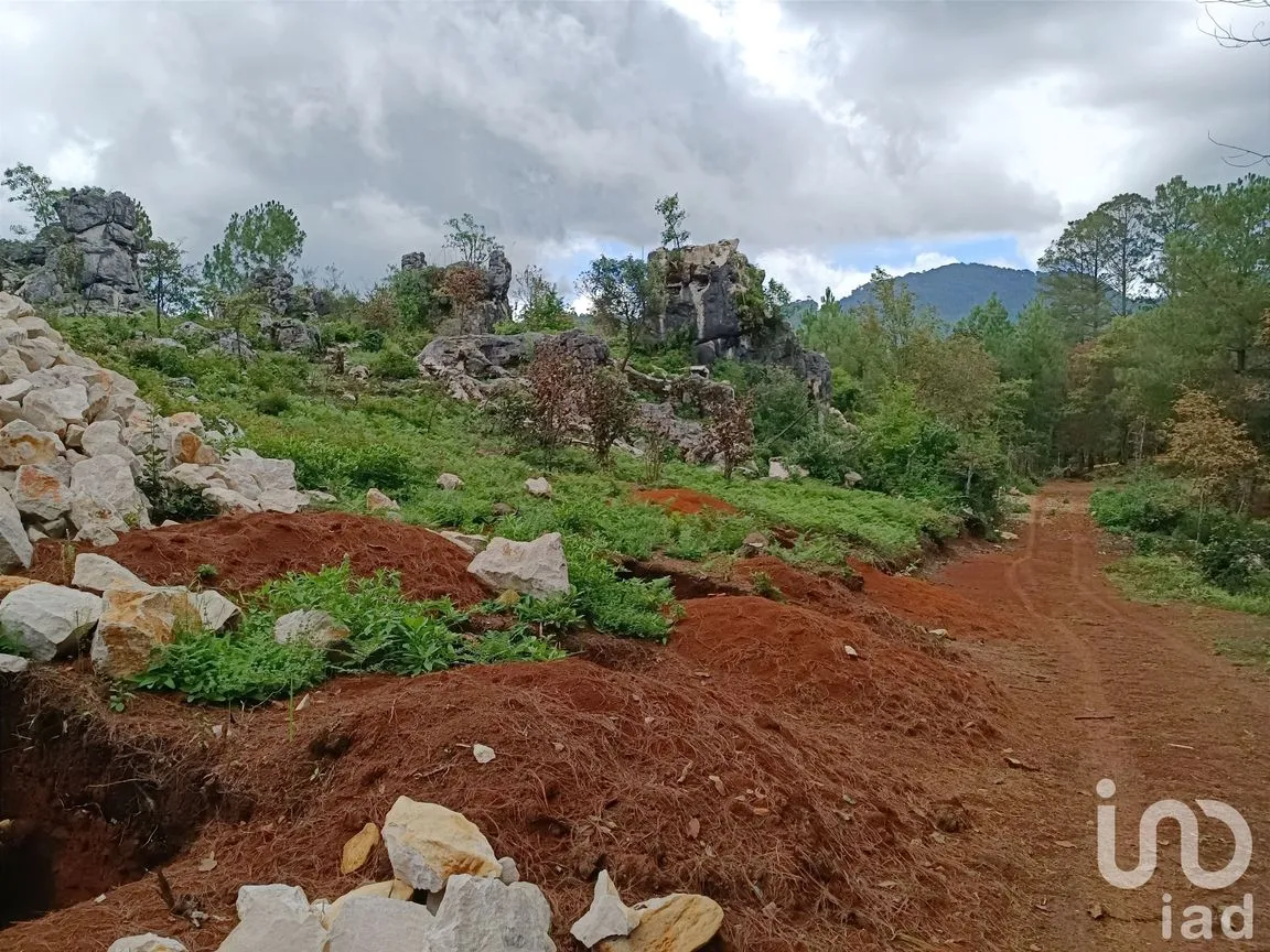 Terreno en Venta en Huitepec Ocotal Sección II, San Cristóbal de las Casas, Chiapas | NEX-219880 | iad México | Foto 9 de 10