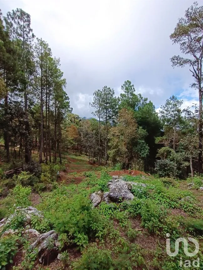 Terreno en Venta en Huitepec Ocotal Sección II, San Cristóbal de las Casas, Chiapas | NEX-219880 | iad México | Foto 1 de 10
