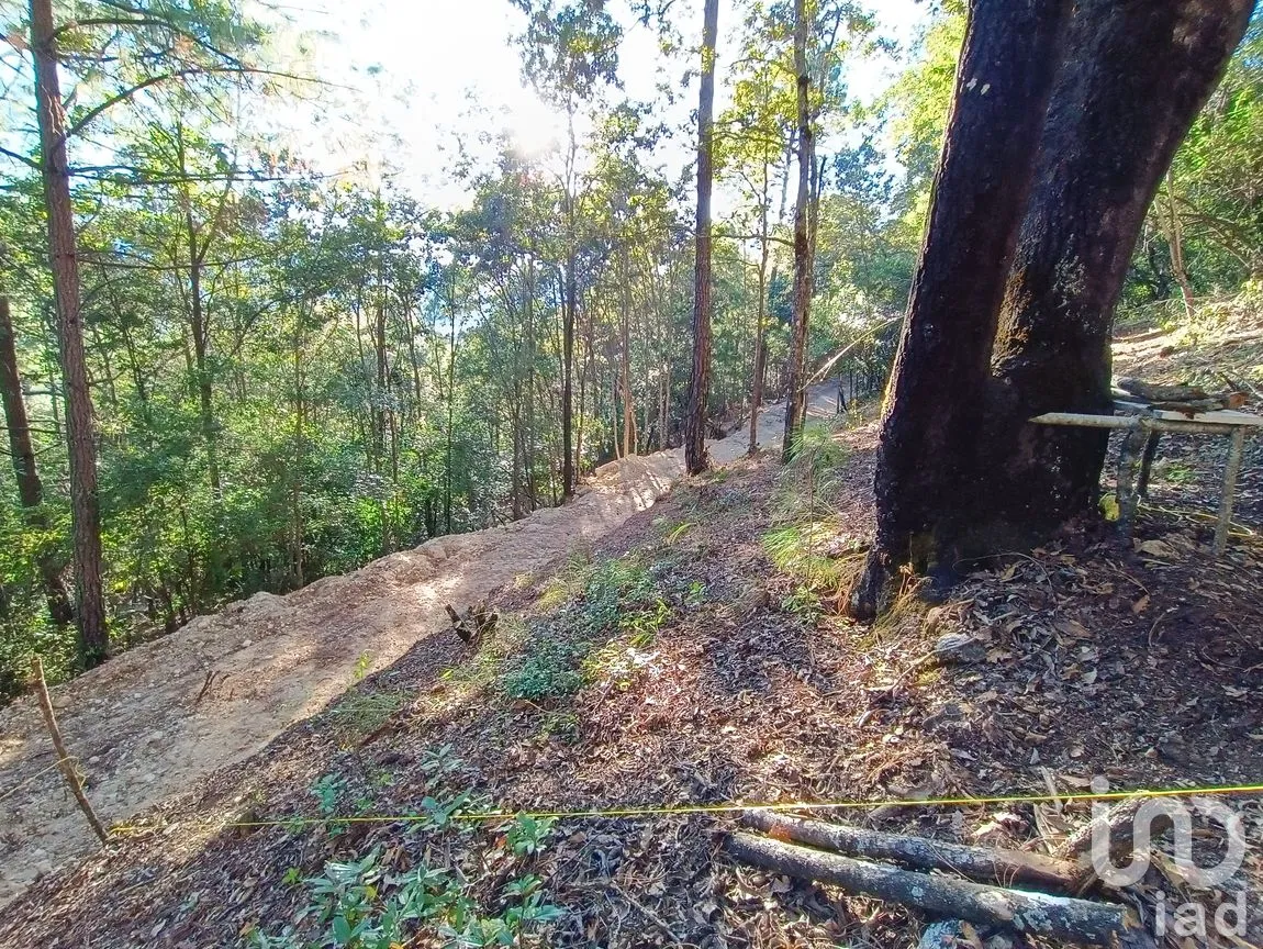 Terreno en Venta en Kaltic, San Cristóbal de las Casas, Chiapas | NEX-239070 | iad México | Foto 2 de 6