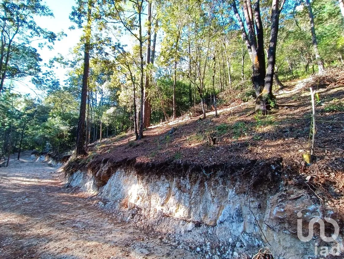 Terreno en Venta en Kaltic, San Cristóbal de las Casas, Chiapas | NEX-239070 | iad México | Foto 4 de 6