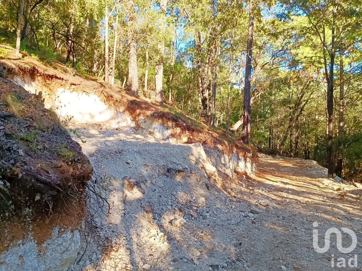 Terreno en Venta en Kaltic, San Cristóbal de las Casas, Chiapas | NEX-239070 | iad México | Foto 5 de 6