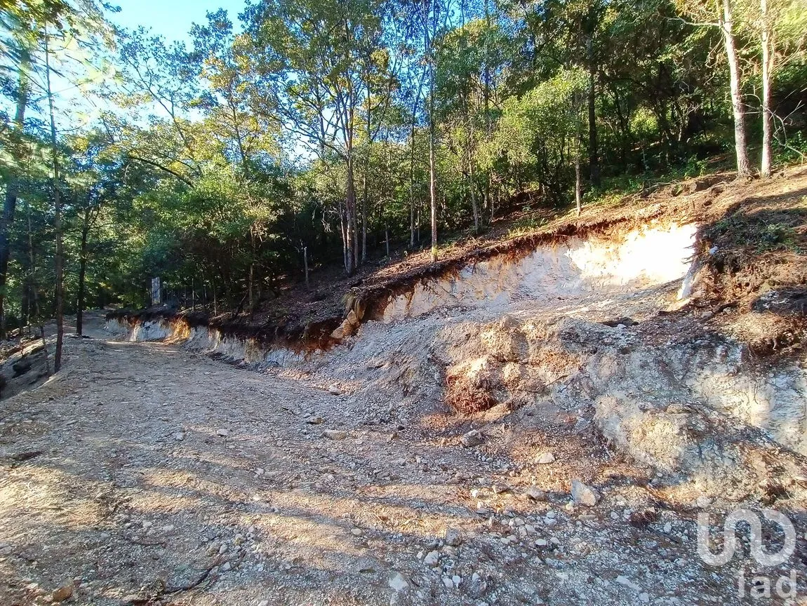 Terreno en Venta en Kaltic, San Cristóbal de las Casas, Chiapas | NEX-239070 | iad México | Foto 6 de 6