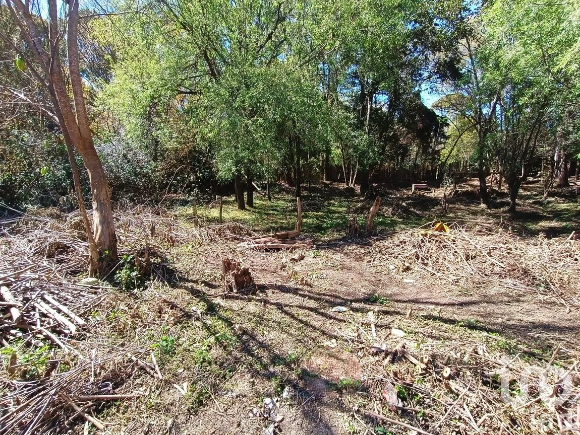 Terreno en Venta en De Mexicanos, San Cristóbal de las Casas, Chiapas | NEX-239225 | iad México | Foto 6 de 12