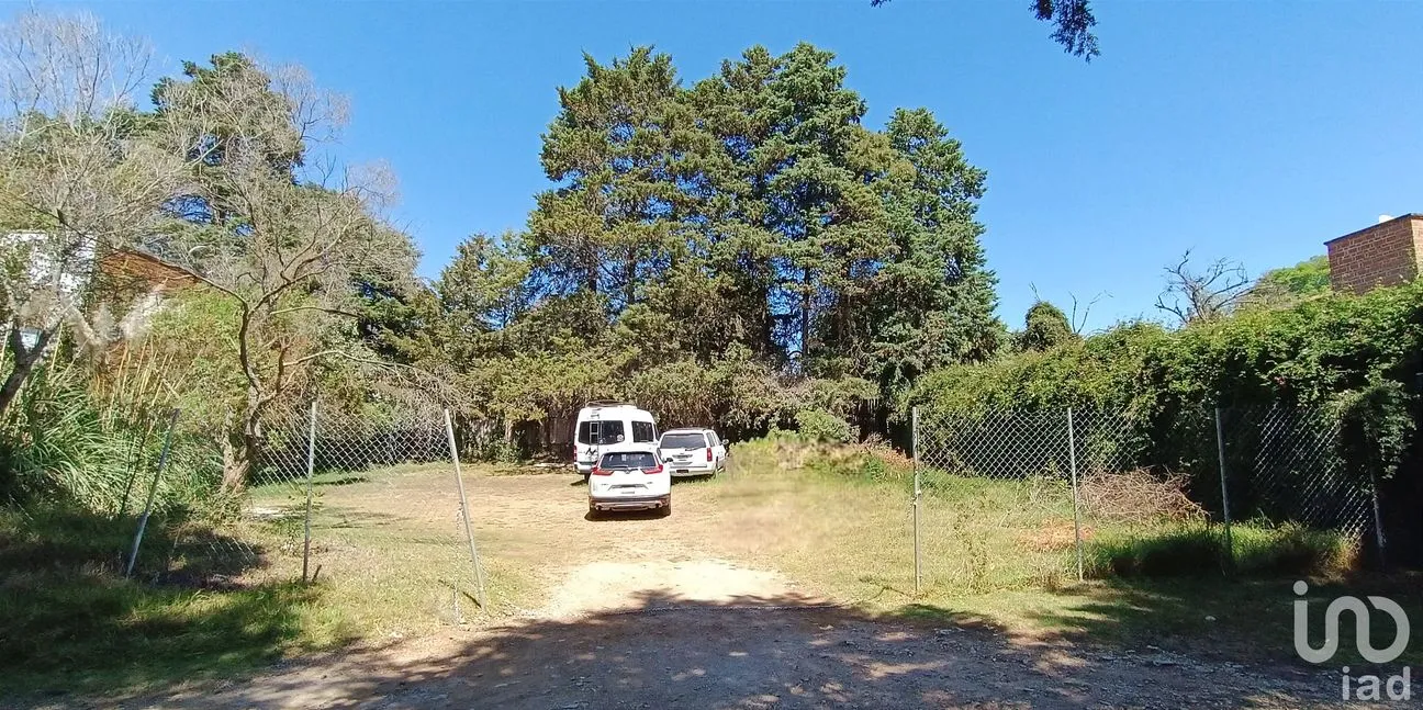 Terreno en Venta en Los Alcanfores, San Cristóbal de las Casas, Chiapas | NEX-252772 | iad México | Foto 3 de 7