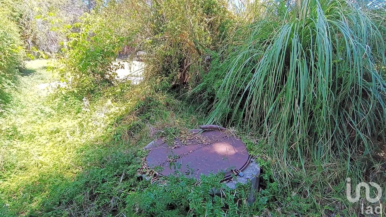 Terreno en Venta en Los Alcanfores, San Cristóbal de las Casas, Chiapas | NEX-252772 | iad México | Foto 4 de 7