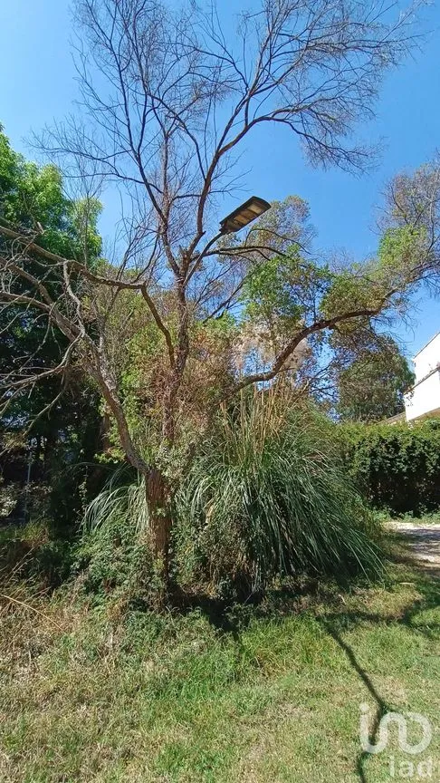 Terreno en Venta en Los Alcanfores, San Cristóbal de las Casas, Chiapas | NEX-252772 | iad México | Foto 5 de 7