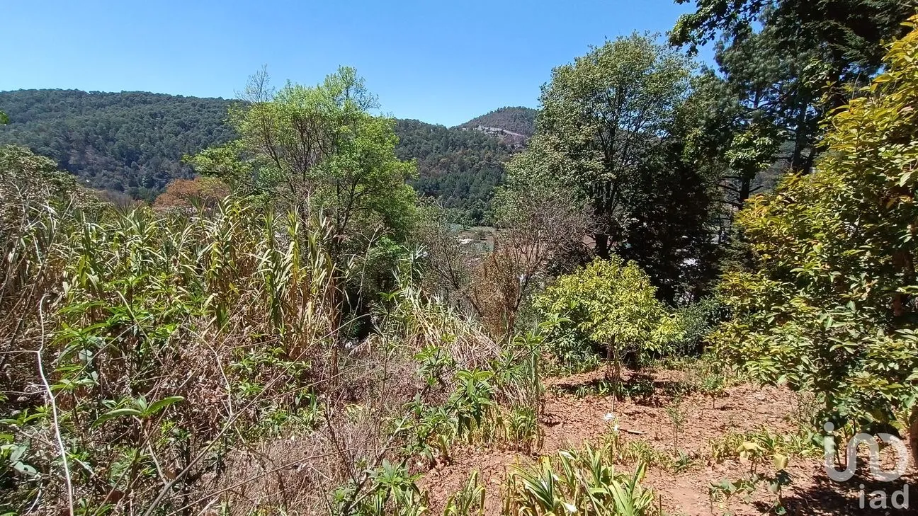 Terreno en Venta en La Garita, San Cristóbal de las Casas, Chiapas | NEX-252809 | iad México | Foto 2 de 8