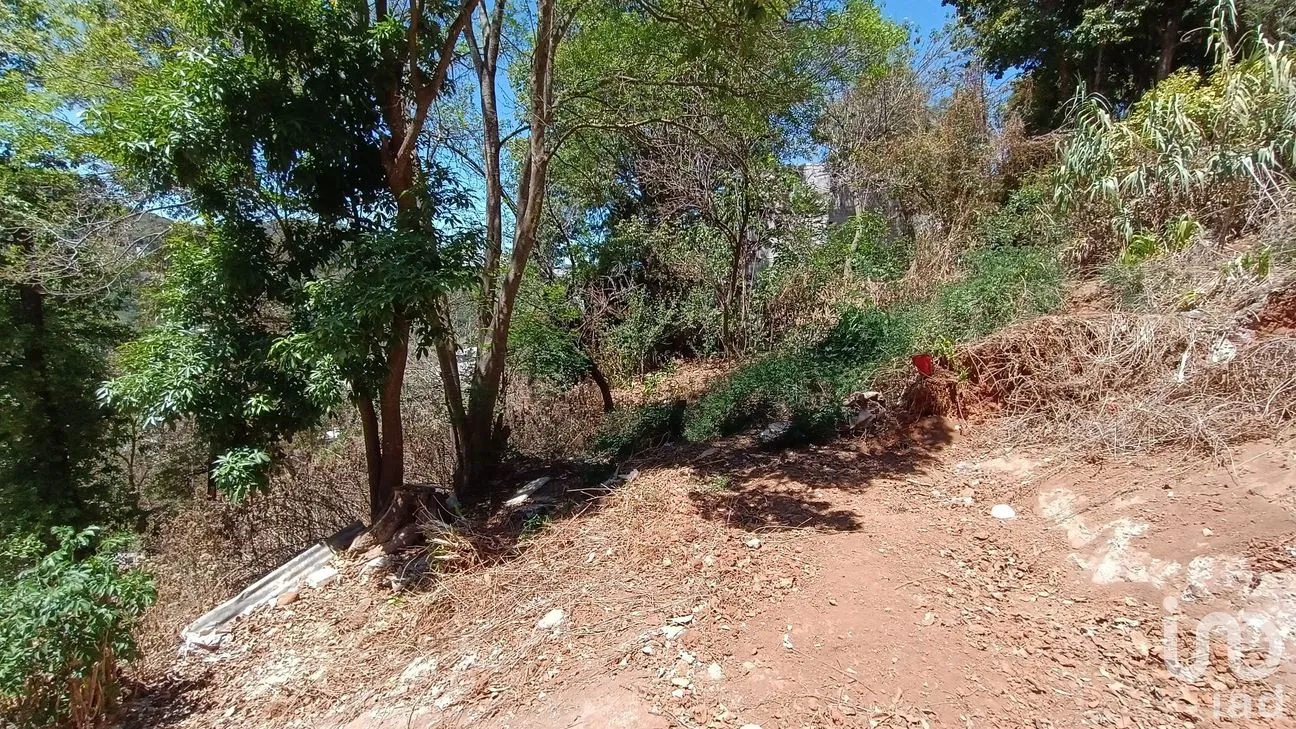 Terreno en Venta en La Garita, San Cristóbal de las Casas, Chiapas | NEX-252809 | iad México | Foto 4 de 8