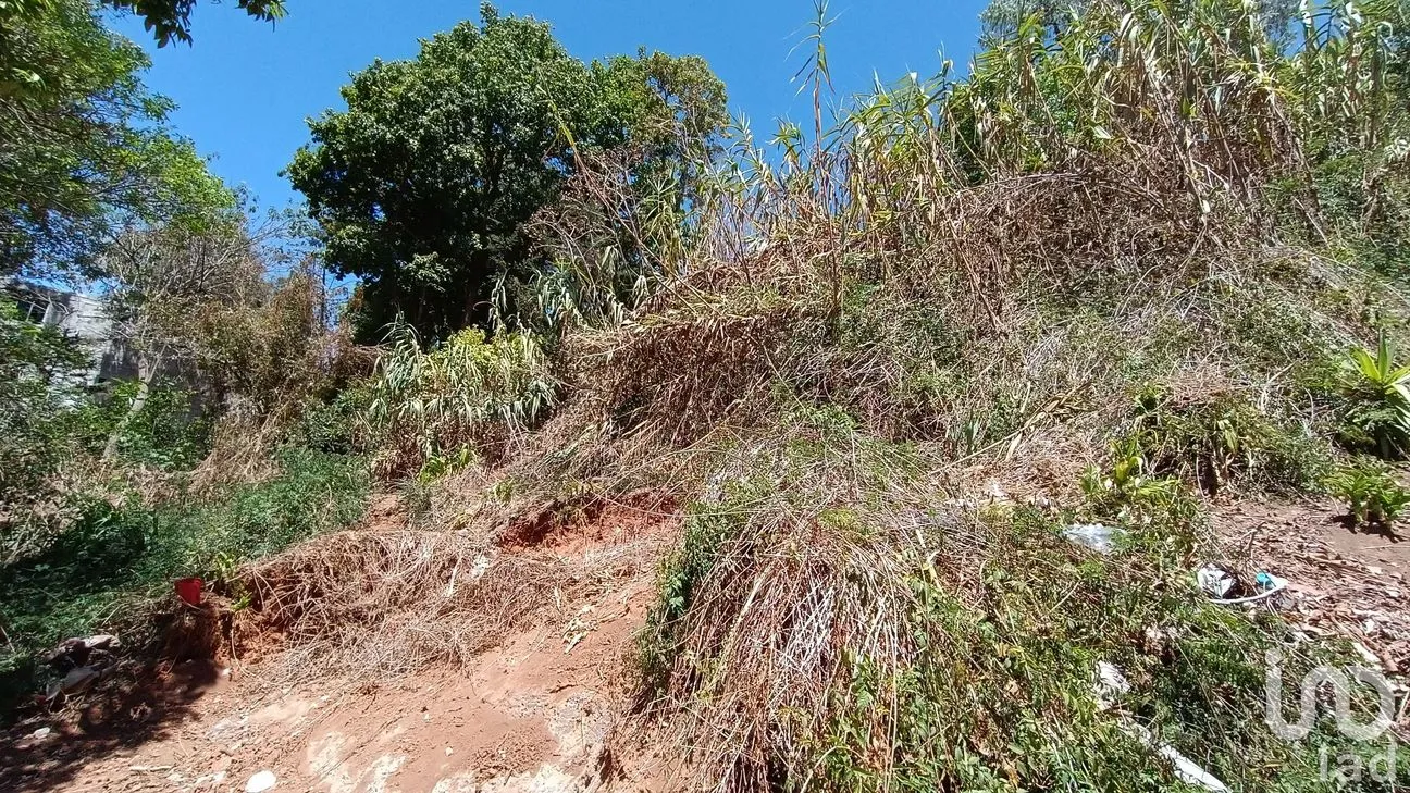 Terreno en Venta en La Garita, San Cristóbal de las Casas, Chiapas | NEX-252809 | iad México | Foto 5 de 8