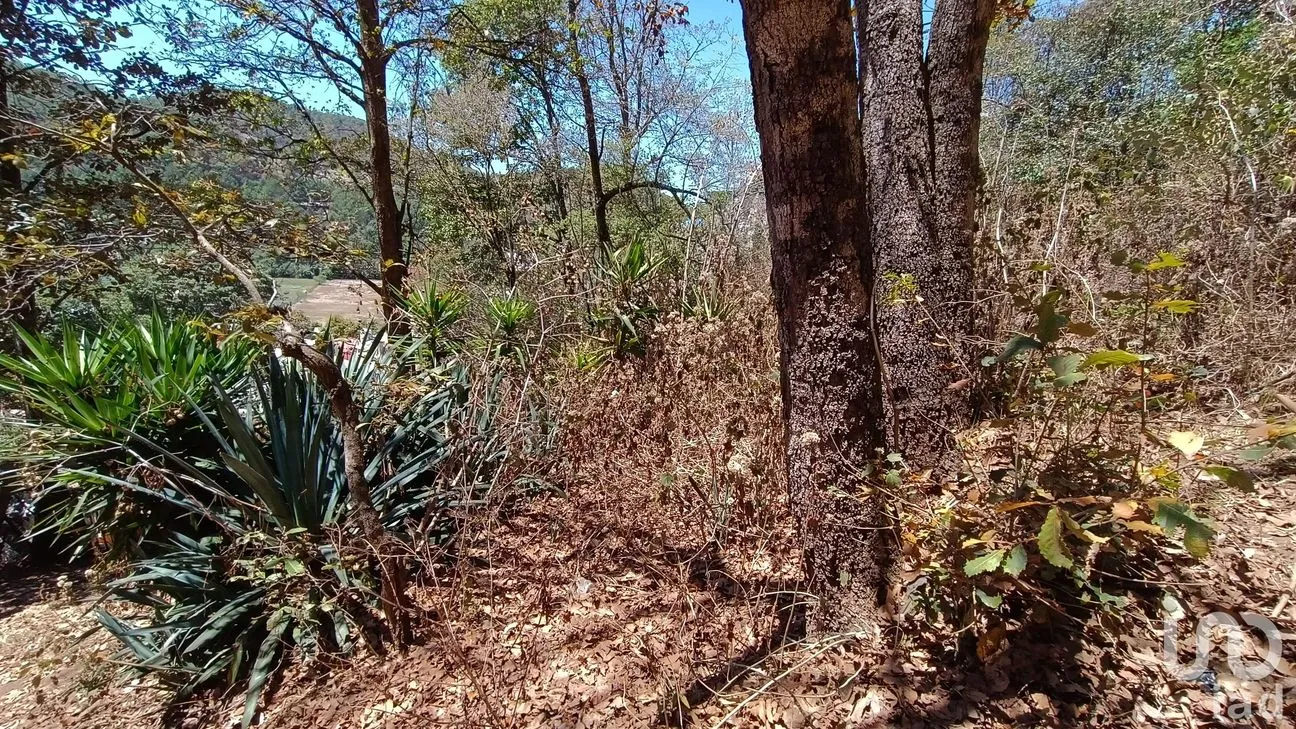 Terreno en Venta en La Garita, San Cristóbal de las Casas, Chiapas | NEX-252809 | iad México | Foto 6 de 8