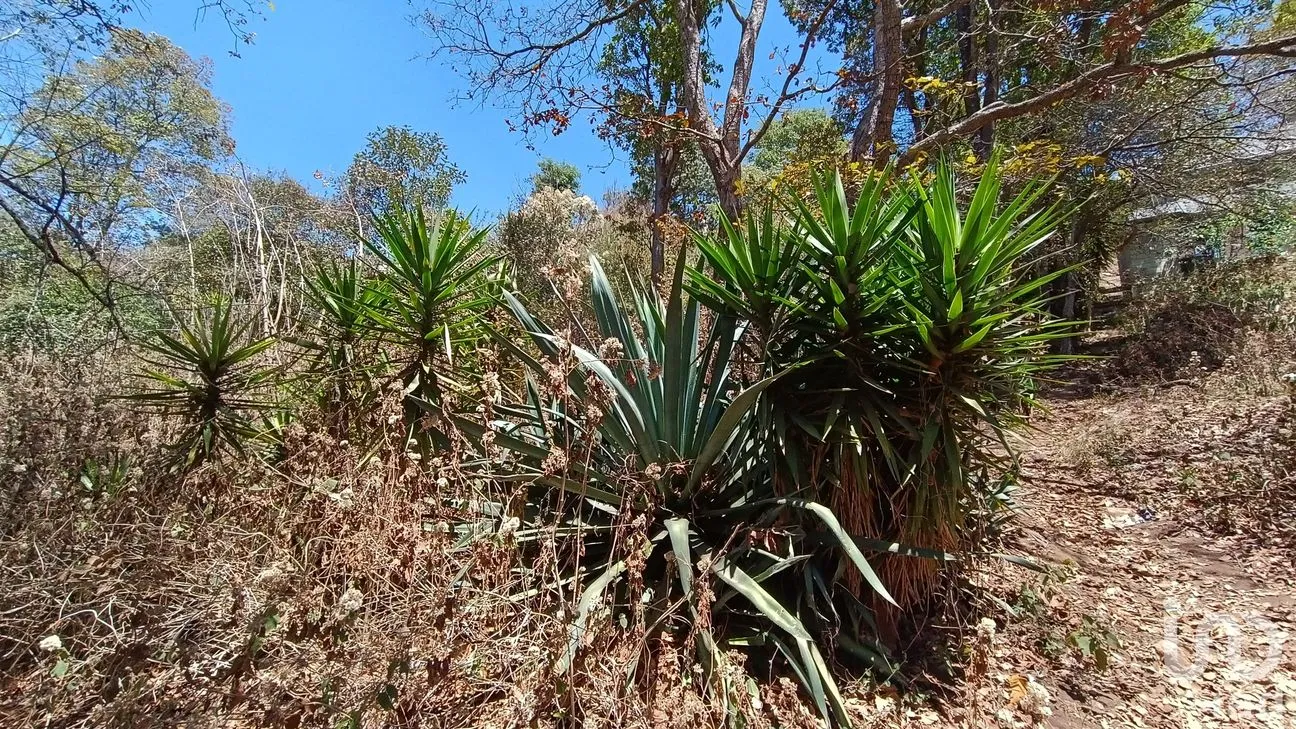 Terreno en Venta en La Garita, San Cristóbal de las Casas, Chiapas | NEX-252809 | iad México | Foto 7 de 8