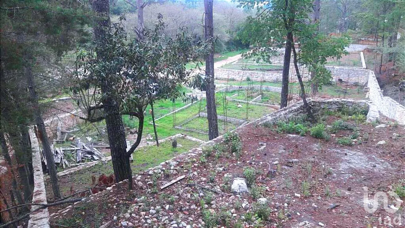 Terreno en Venta en Corral de Piedra, San Cristóbal de las Casas, Chiapas | NEX-258964 | iad México | Foto 4 de 5