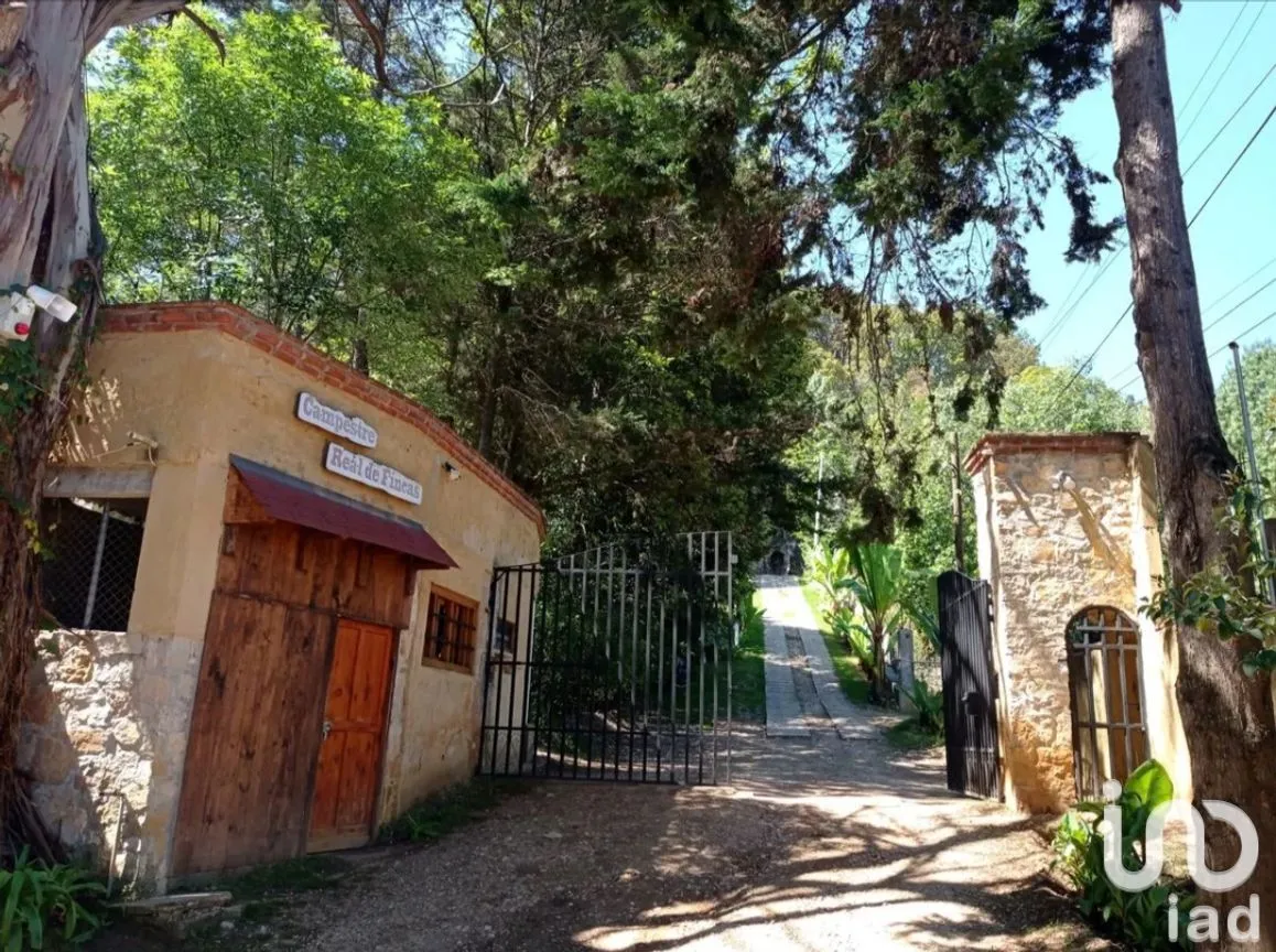 Terreno en Venta en San Nicolás, San Cristóbal de las Casas, Chiapas | NEX-259696 | iad México | Foto 11 de 12