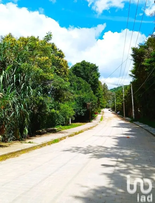 Terreno en Venta en San Nicolás, San Cristóbal de las Casas, Chiapas | NEX-259696 | iad México | Foto 12 de 12