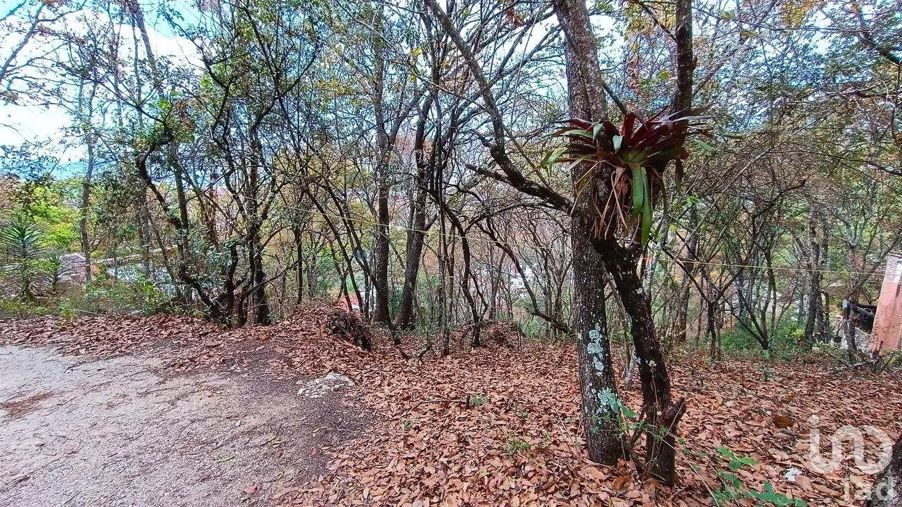 Terreno en Venta en San Nicolás, San Cristóbal de las Casas, Chiapas | NEX-259696 | iad México | Foto 3 de 12