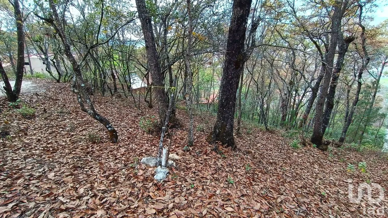 Terreno en Venta en San Nicolás, San Cristóbal de las Casas, Chiapas | NEX-259696 | iad México | Foto 4 de 12