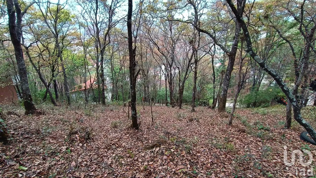 Terreno en Venta en San Nicolás, San Cristóbal de las Casas, Chiapas | NEX-259696 | iad México | Foto 5 de 12