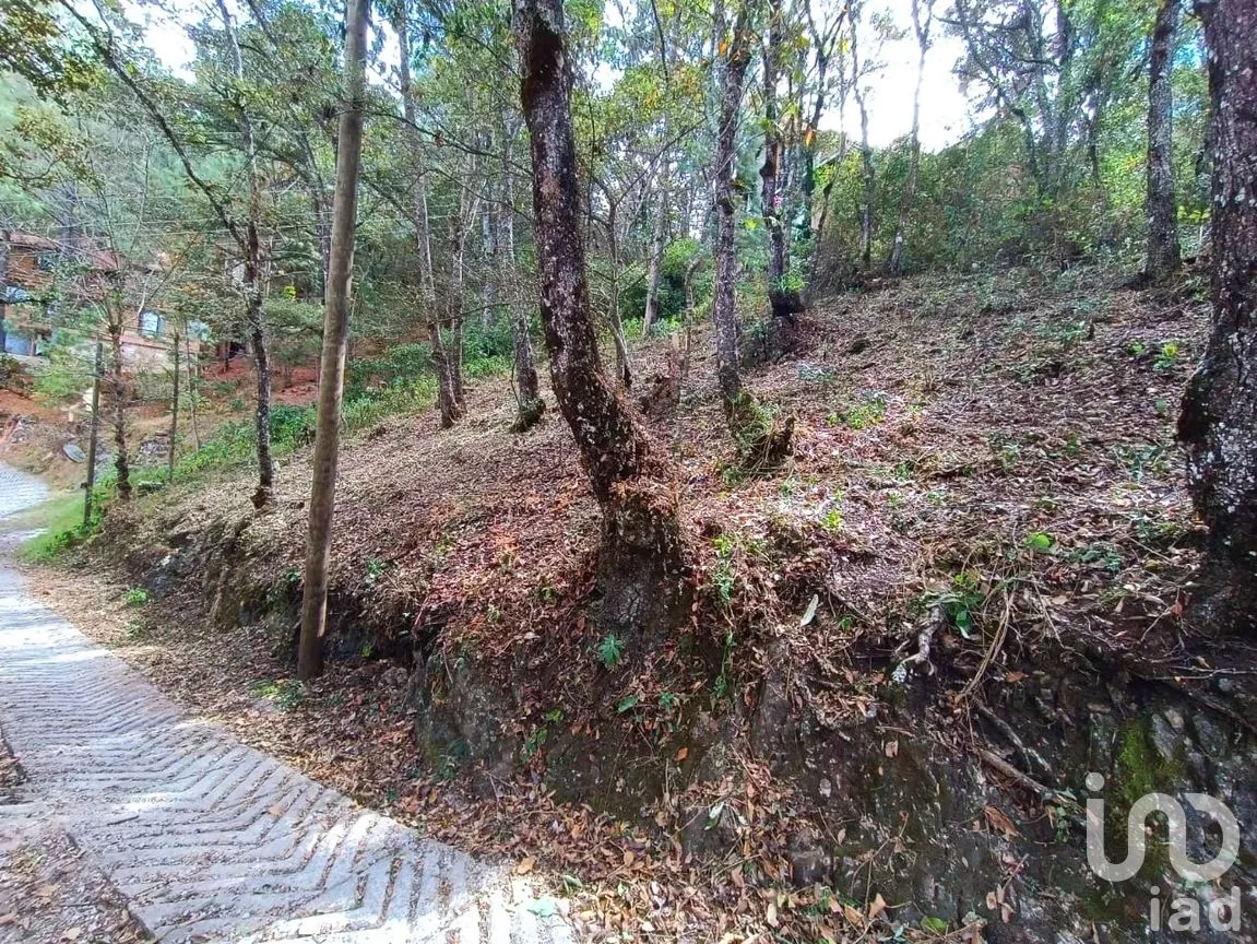 Terreno en Venta en San Nicolás, San Cristóbal de las Casas, Chiapas | NEX-259696 | iad México | Foto 6 de 12
