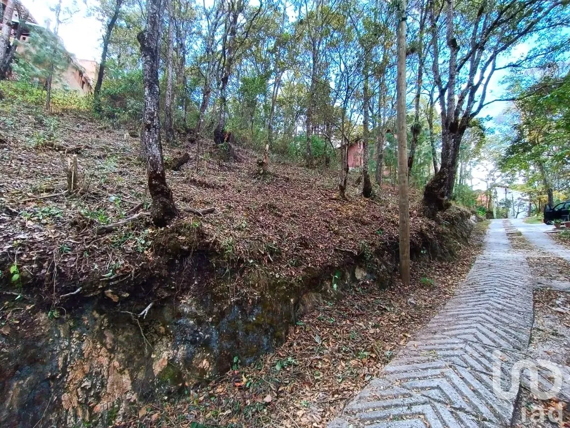 Terreno en Venta en San Nicolás, San Cristóbal de las Casas, Chiapas | NEX-259696 | iad México | Foto 7 de 12