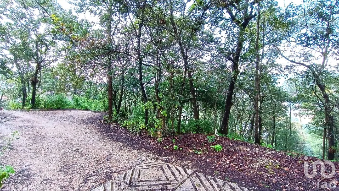 Terreno en Venta en San Nicolás, San Cristóbal de las Casas, Chiapas | NEX-259696 | iad México | Foto 8 de 12