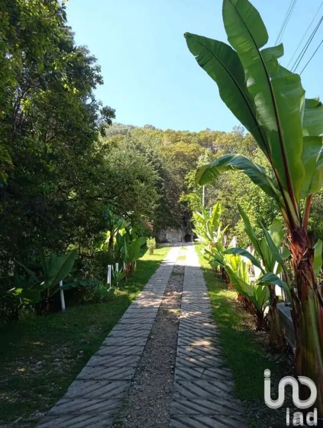 Terreno en Venta en San Nicolás, San Cristóbal de las Casas, Chiapas | NEX-259696 | iad México | Foto 10 de 12