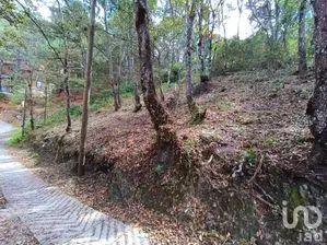 NEX-259696 - Terreno en Venta en San Nicolás, CP 29254, Chiapas.