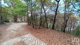 NEX-259696 - Terreno en Venta en San Nicolás, CP 29254, Chiapas.