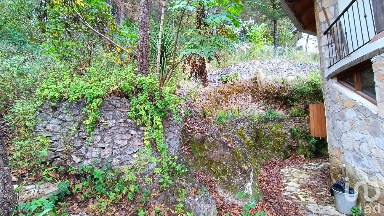 Casa en Venta en Santa Cruz Almolonga, San Cristóbal de las Casas, Chiapas | NEX-263700 | iad México | Foto 14 de 15