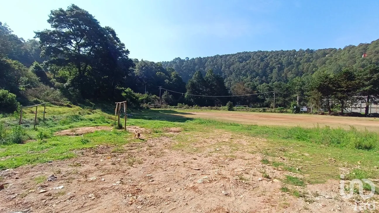 Terreno en Venta en San Cristóbal de las Casas Centro, San Cristóbal de las Casas, Chiapas | NEX-297839 | iad México | Foto 5 de 11