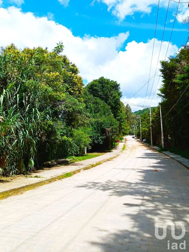 Terreno en Venta en San Nicolás, San Cristóbal de las Casas, Chiapas | NEX-46462 | iad México | Foto 11 de 11
