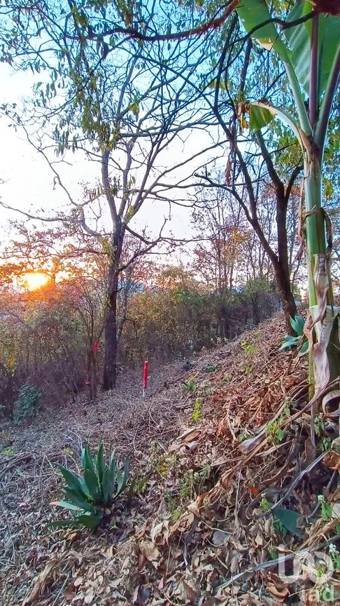 Terreno en Venta en San Nicolás, San Cristóbal de las Casas, Chiapas | NEX-46462 | iad México | Foto 2 de 15