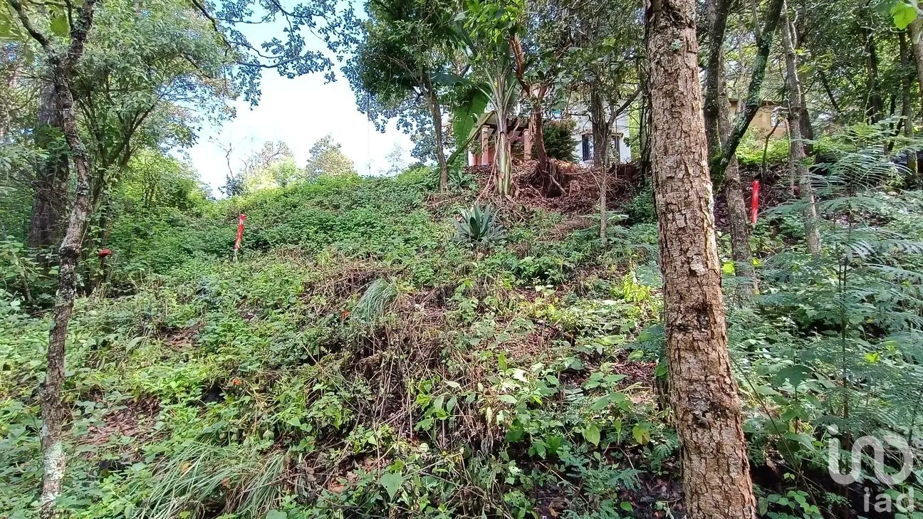 Terreno en Venta en San Nicolás, San Cristóbal de las Casas, Chiapas | NEX-46462 | iad México | Foto 12 de 15