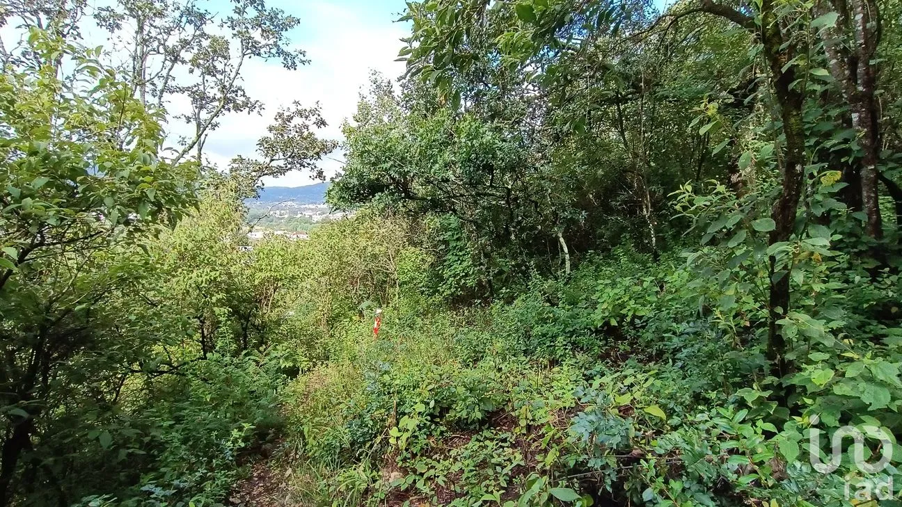 Terreno en Venta en San Nicolás, San Cristóbal de las Casas, Chiapas | NEX-46462 | iad México | Foto 14 de 15