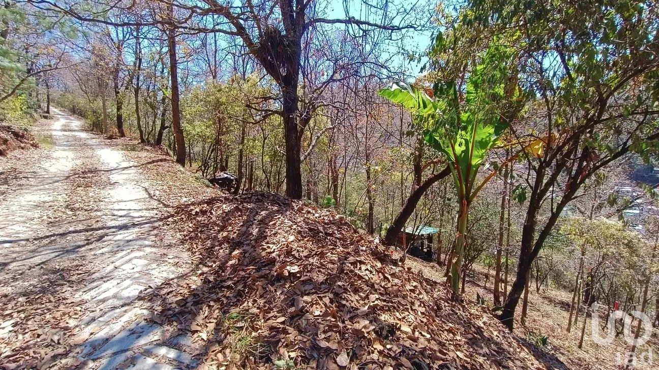 Terreno en Venta en San Nicolás, San Cristóbal de las Casas, Chiapas | NEX-46462 | iad México | Foto 4 de 15