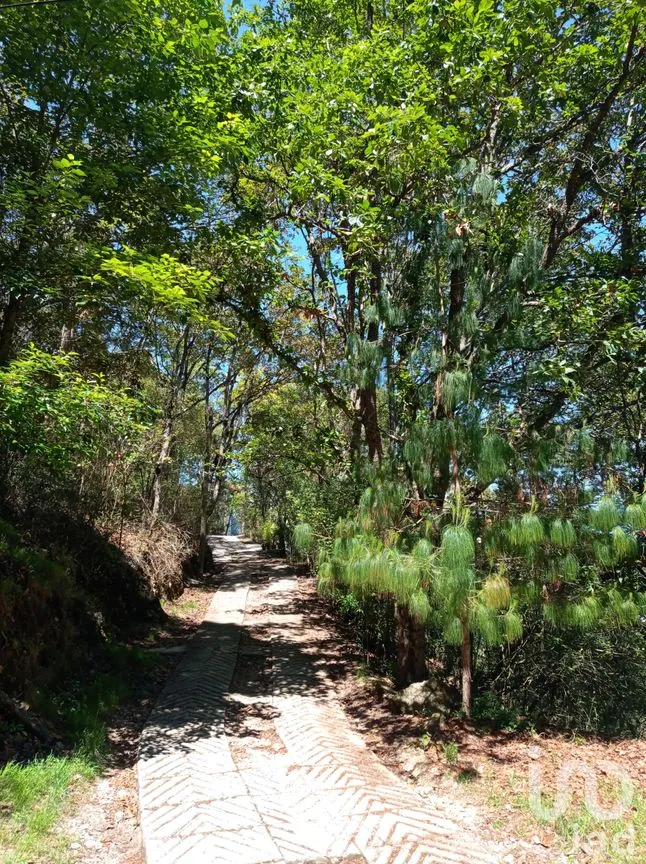 Terreno en Venta en San Nicolás, San Cristóbal de las Casas, Chiapas | NEX-46462 | iad México | Foto 5 de 15
