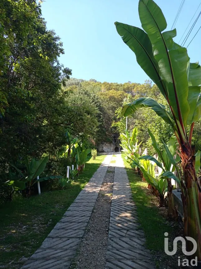 Terreno en Venta en San Nicolás, San Cristóbal de las Casas, Chiapas | NEX-46462 | iad México | Foto 7 de 15