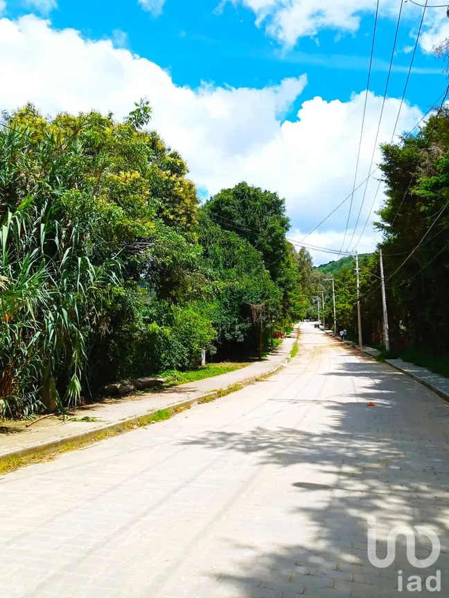 Terreno en Venta en San Nicolás, San Cristóbal de las Casas, Chiapas | NEX-46462 | iad México | Foto 9 de 15