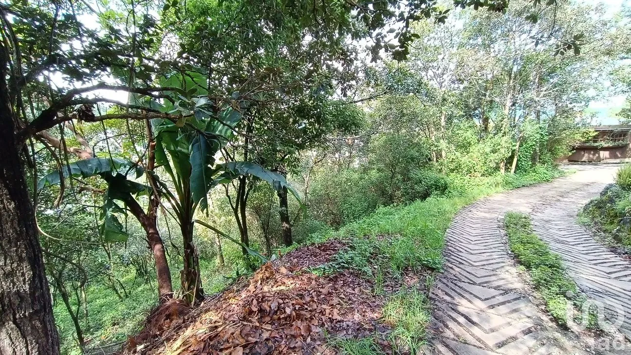 Terreno en Venta en San Nicolás, San Cristóbal de las Casas, Chiapas | NEX-46462 | iad México | Foto 10 de 15