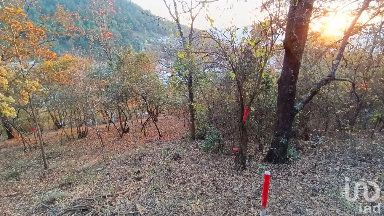 Terreno en Venta en San Nicolás, San Cristóbal de las Casas, Chiapas | NEX-46462 | iad México | Foto 1 de 15