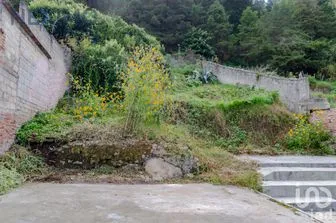 NEX-48272 - Terreno en Venta en La Merced, CP 29240, Chiapas.