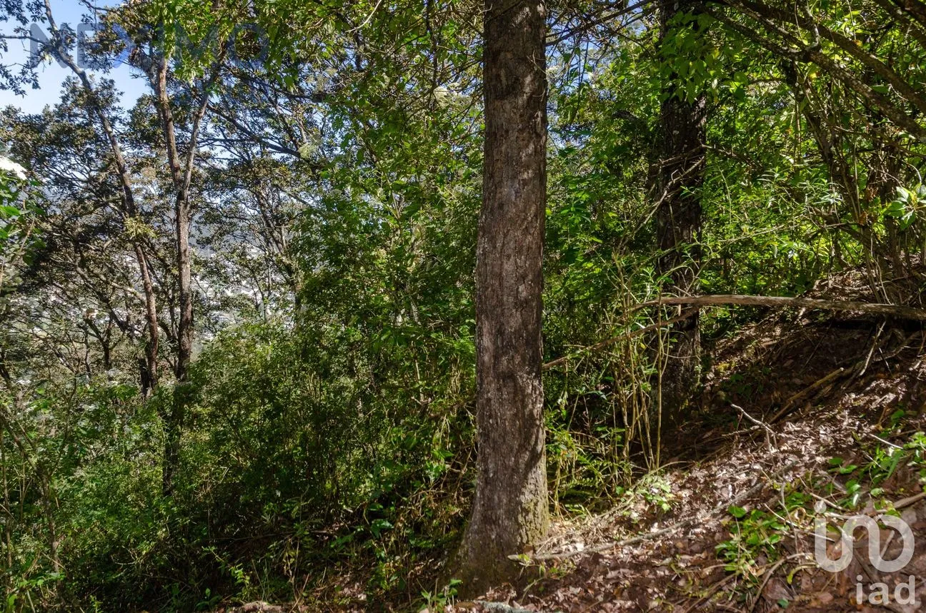 Terreno en Venta en San Nicolás, San Cristóbal de las Casas, Chiapas | NEX-50776 | iad México | Foto 4 de 16