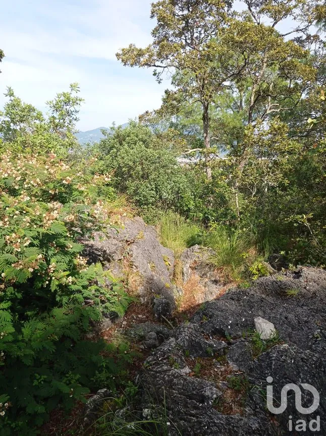 Terreno en Venta en San Nicolás, San Cristóbal de las Casas, Chiapas | NEX-52811 | iad México | Foto 2 de 5