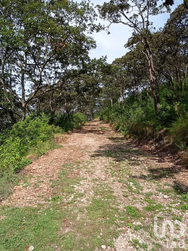 Terreno en Venta en San Nicolás, San Cristóbal de las Casas, Chiapas | NEX-52811 | iad México | Foto 4 de 5