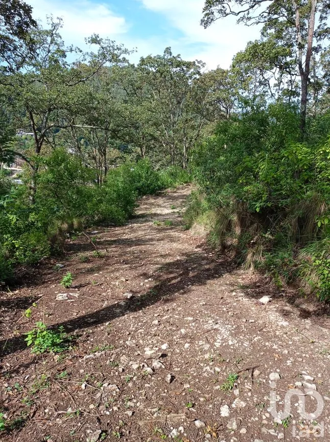 Terreno en Venta en San Nicolás, San Cristóbal de las Casas, Chiapas | NEX-52811 | iad México | Foto 1 de 5