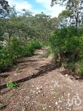 NEX-52811 - Terreno en Venta en San Nicolás, CP 29254, Chiapas.