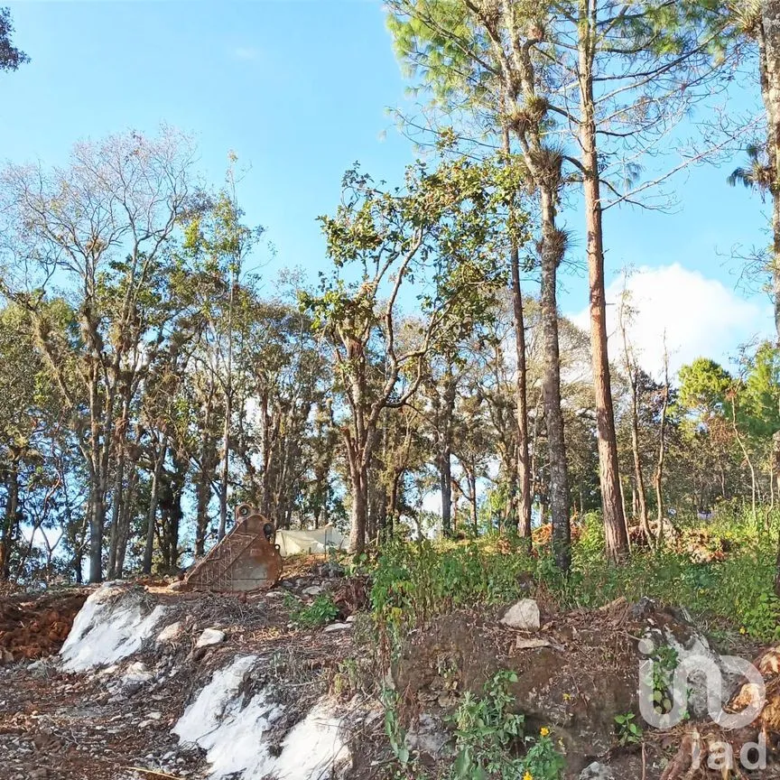 Terreno en Venta en San José, San Cristóbal de las Casas, Chiapas | NEX-57170 | iad México | Foto 9 de 10